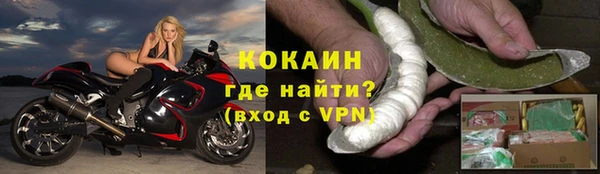 спайс Алзамай