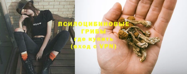 ГАЛЛЮЦИНОГЕННЫЕ ГРИБЫ Алексеевка