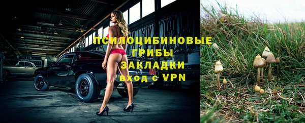 ГАЛЛЮЦИНОГЕННЫЕ ГРИБЫ Алексеевка