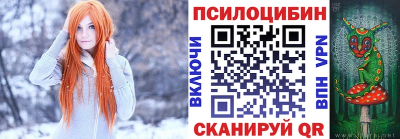 Галлюциногенные грибы Psilocybine cubensis  это официальный сайт  Изобильный 
